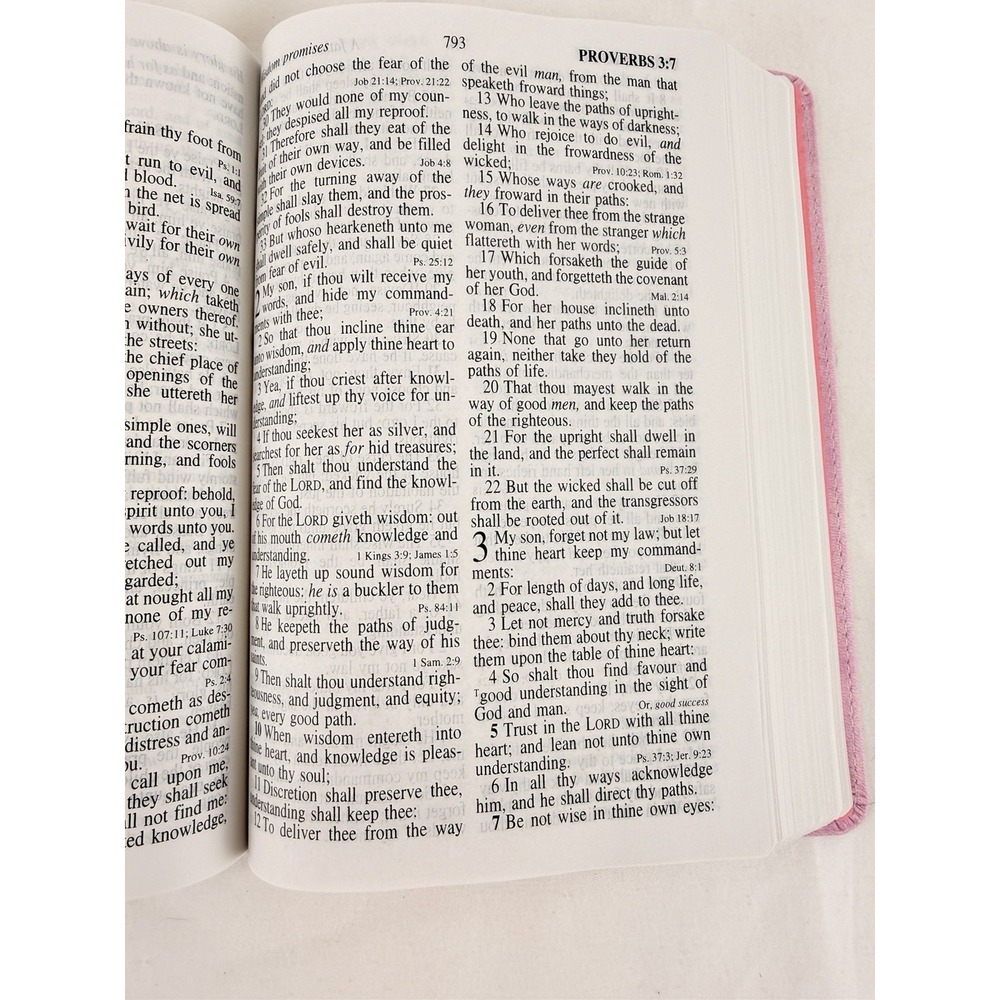 KJV Giant Print Reference Bible Pink Holman Hand Size King James Version - Picture 10 of 12
